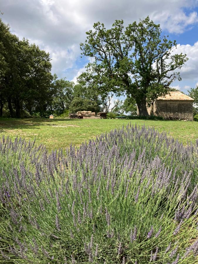 La Bastide Des Roman Villa Vernegues Buitenkant foto
